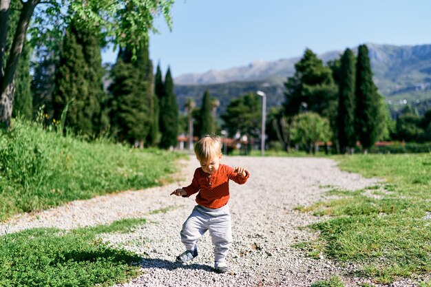 Il bambino cammina lungo il sentiero tra gli alberi sullo sfondo delle montagne