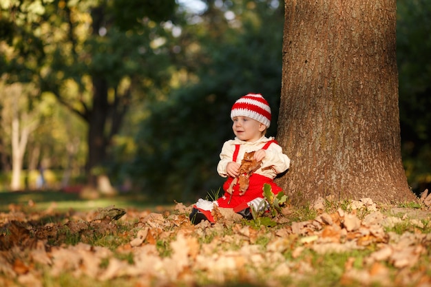 Il bambino che indossa un costume di fantasia di un nano siede sotto la quercia tra le foglie cadute