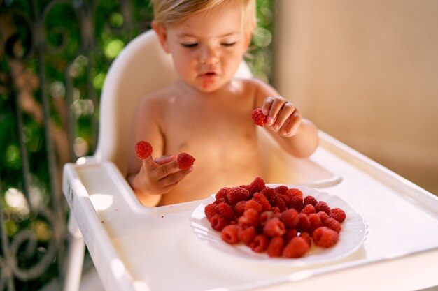 Il bambino concentrato mette i lamponi sulle dita