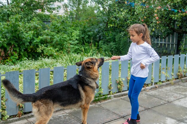 Il bambino dà una mano al cane. Messa a fuoco selettiva.