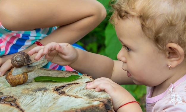 Il bambino esamina le lumache sull'albero Messa a fuoco selettiva