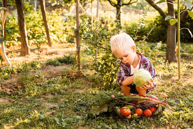 Il bambino esamina un cesto di verdure