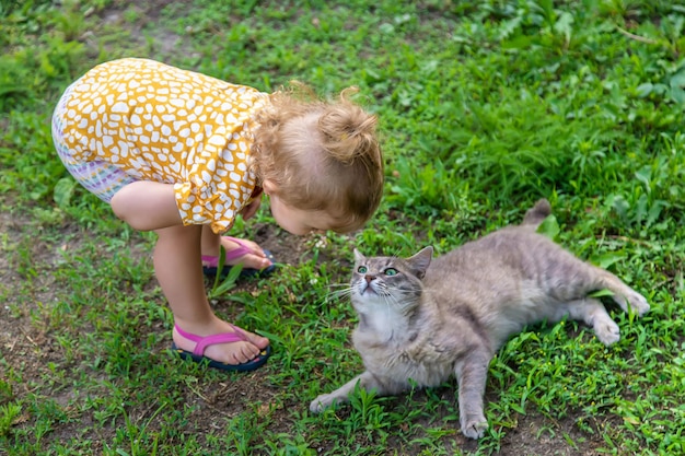 Il bambino gioca con il gatto Messa a fuoco selettiva