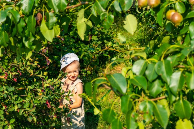 Il bambino guarda fuori dai cespugli di bacche