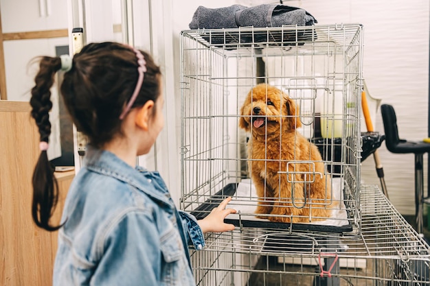 Il bambino guarda il simpatico cane nella gabbia