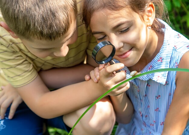 Il bambino guarda la lumaca attraverso una lente d'ingrandimento. Messa a fuoco selettiva. Natura.