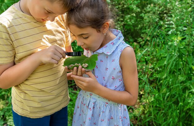 Il bambino guarda la lumaca attraverso una lente d'ingrandimento. Messa a fuoco selettiva. Natura.