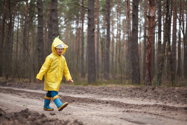 Il bambino in un impermeabile giallo cammina nella foresta e si diverte