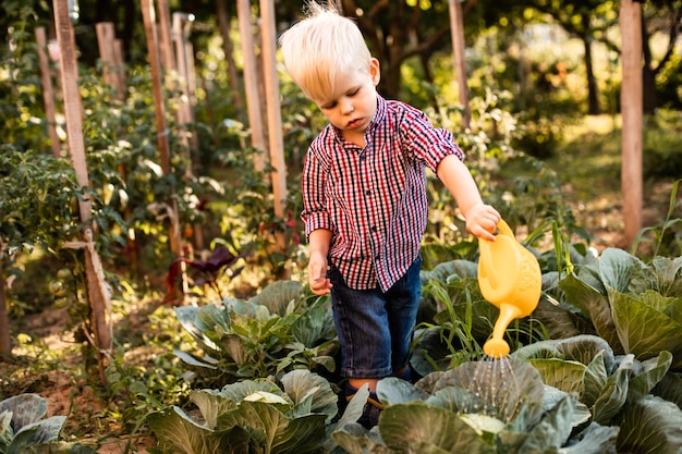 Il bambino innaffia il cavolo cappuccio usa un annaffiatoio