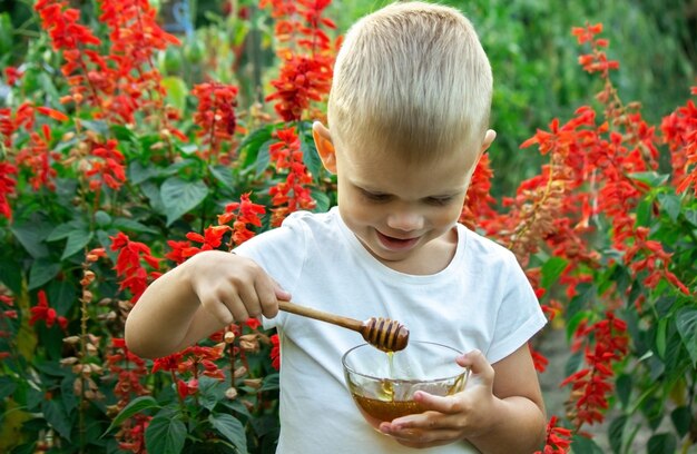 Il bambino mangia il miele in giardino.