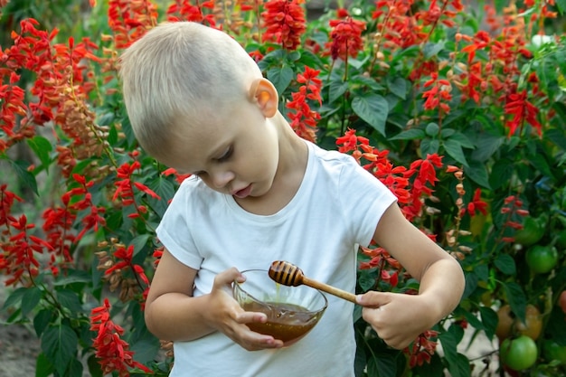 Il bambino mangia il miele in giardino.