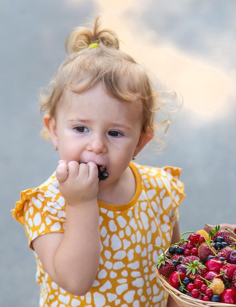 Il bambino mangia le bacche nel giardino Messa a fuoco selettiva