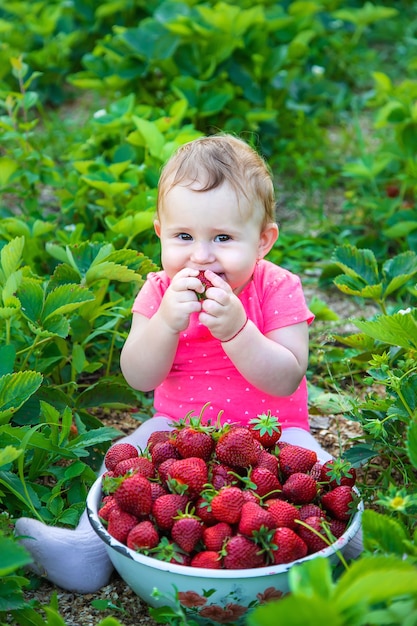 Il bambino mangia le fragole in giardino