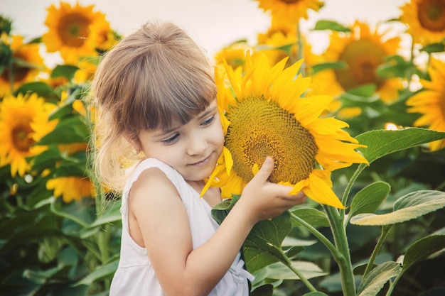 Il bambino nel campo dei girasoli è un piccolo contadino. messa a fuoco selettiva.