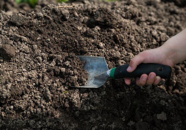 Il bambino scava la terra