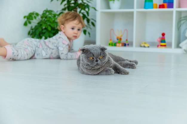 Il bambino sta giocando con il gatto Messa a fuoco selettiva Kid