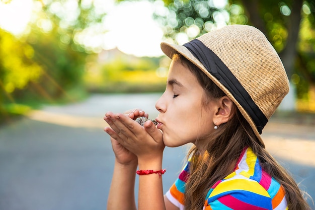 Il bambino sta giocando con la rana Messa a fuoco selettiva