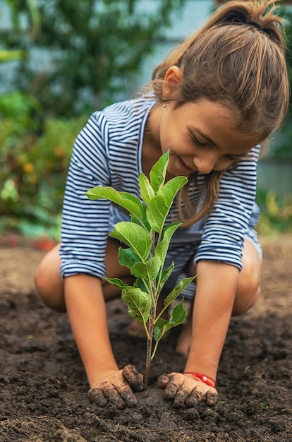 Il bambino sta piantando una pianta in giardino. Messa a fuoco selettiva. Natura.