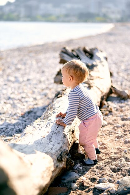 Il bambino sta vicino ai legni sulla spiaggia e guarda il mare