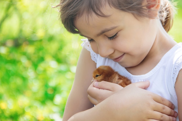 Il bambino tiene in mano un pollo. Messa a fuoco selettiva