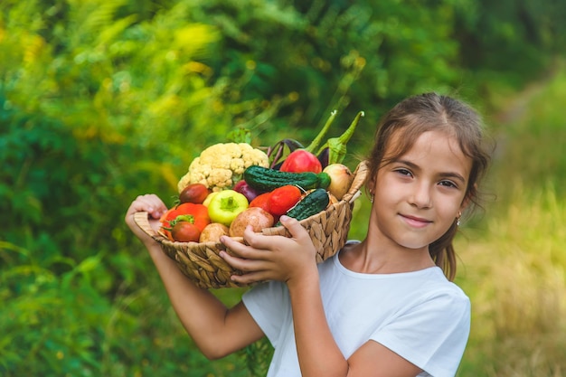 Il bambino tiene le verdure nelle sue mani. Messa a fuoco selettiva. Ragazzo.