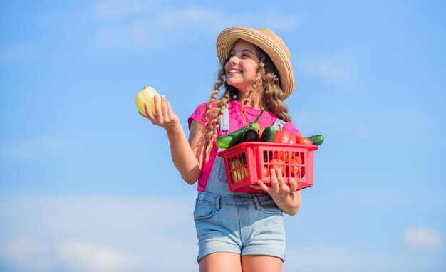 Il bambino trasporta il raccolto sullo sfondo del cielo Raccolto raccolto Stagione del raccolto Verdure nel cestino Ragazza adorabile bambino che coltiva verdure nostrane Cibo biologico Giornata di sole in fattoria Nutrizione vitaminica naturale