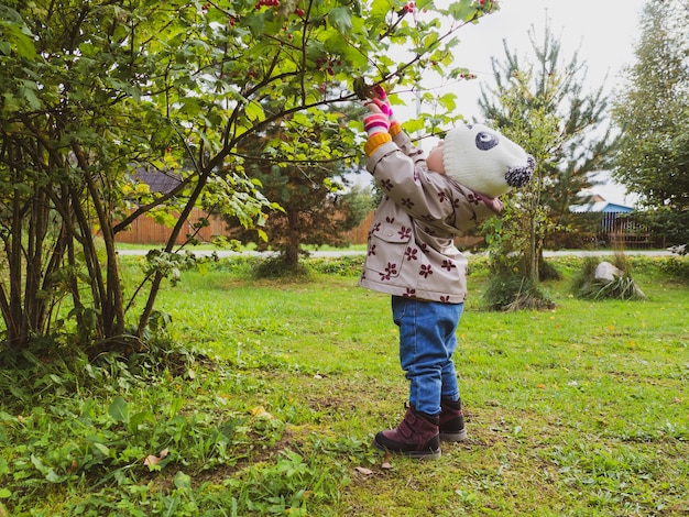 Il bambino (un anno) raccoglie una bacca rossa di viburno in giardino