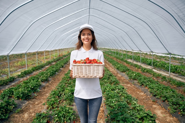 Il bel lavoratore sul campo sta raccogliendo le fragole in serra