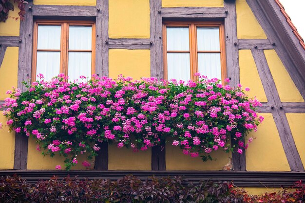 Il bellissimo davanzale di ogni casa nella città fiabesca di Rothenburg, Germania