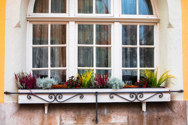 Il bellissimo davanzale di ogni casa nella città fiabesca di Rothenburg, Germania