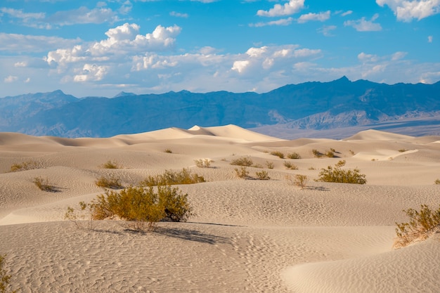 Il bellissimo deserto in un pomeriggio d'estate nella Death Valley, California. stati Uniti