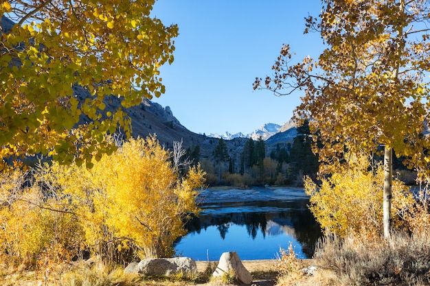 Il bellissimo lago nella stagione autunnale