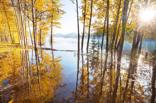 Il bellissimo lago nella stagione autunnale