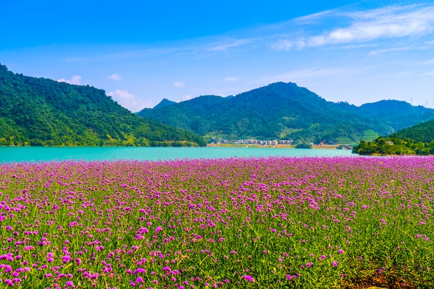 Il bellissimo paesaggio del lago Qiandao