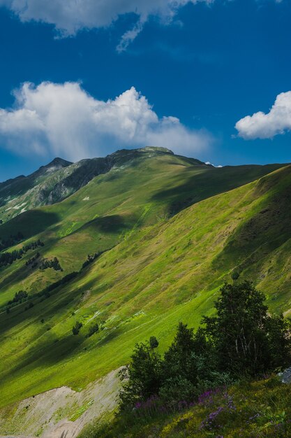 Il bellissimo paesaggio estivo ad Arkhyz, Russia