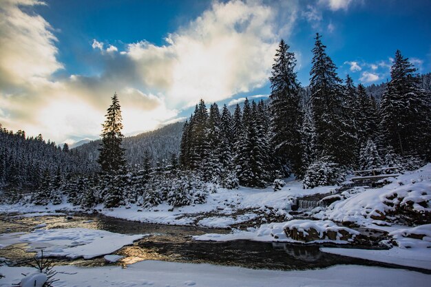 Il bellissimo paesaggio montano della foresta innevata nella cui valle scorre il fiume