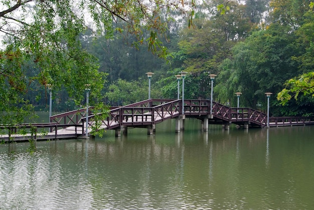 Il bellissimo ponte di legno in mezzo al parco.