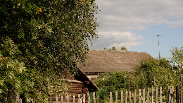 Il bello paesaggio rustico di estate vecchie case di legno del ceppo della regione di vologda