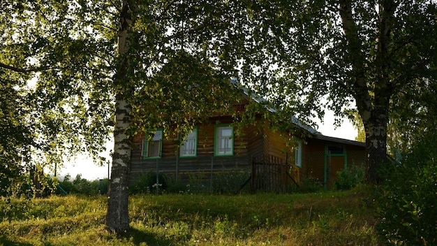 Il bello paesaggio rustico di estate vecchie case di legno del ceppo della regione di vologda