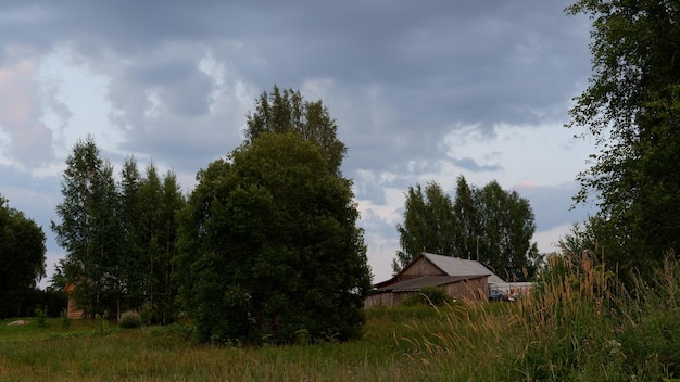 Il bello paesaggio rustico di estate vecchie case di legno del ceppo della regione di vologda