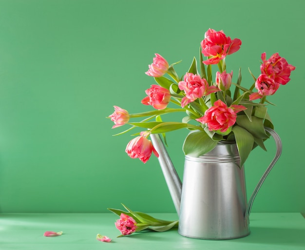 Il bello tulipano rosa fiorisce il mazzo in annaffiatoio