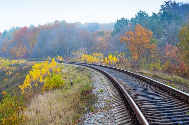 Il binario ferroviario che attraversa il bosco autunnale