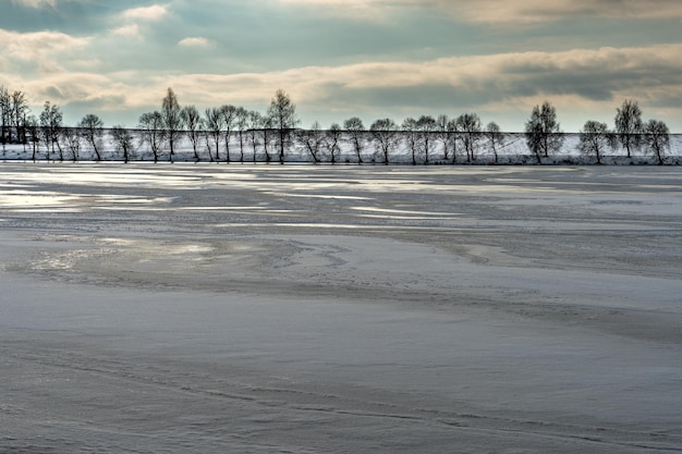 Il boschetto di betulle cresce nel parco lungo il lago Splendido paesaggio invernale vicino al fiume Cumuli di neve e neve fresca e soffice in una giornata gelida e soleggiata