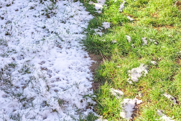 Il campo è diviso a metà, metà con erba verde, metà coperto di neve. Inverno e primavera.