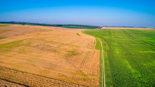 Il campo verde è al tramonto girato con il drone