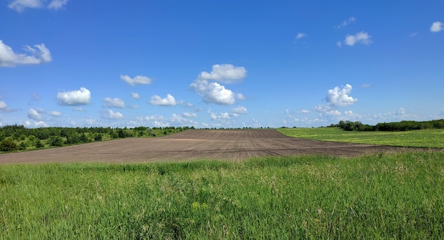 Il campo verde