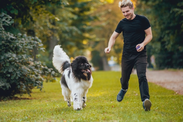 Il cane di Terranova gioca con l'uomo e la donna nel parco