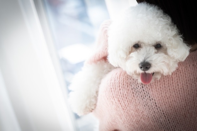 Il cane è appoggiato sulla spalla del proprietario