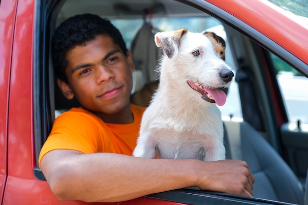 Il cane jack russell siede in macchina con il suo padrone