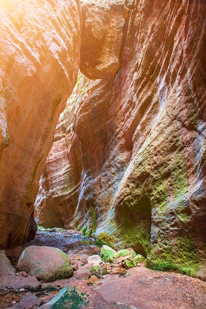 Il canyon di Avakas